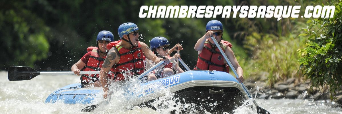 chambrespaysbasque.krutyn.eu